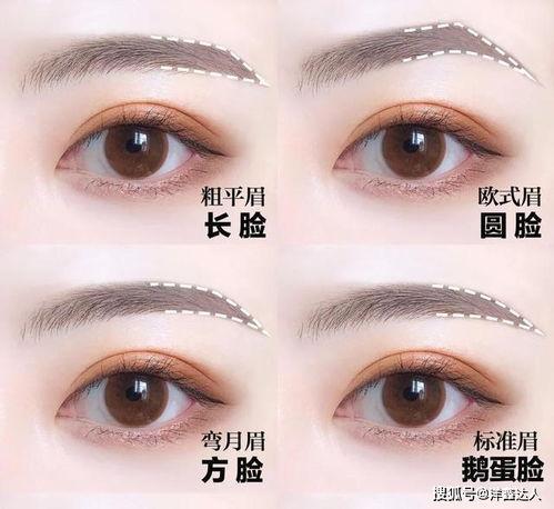 明星眉毛图片大全,从自然到夸张，眉型演变解析